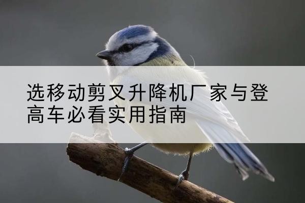沈北新电动升降机厂家-选移动剪叉升降机厂家与登高车必看实用指南