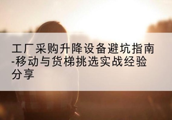 沈北新移动式升降机怎么选-工厂采购升降设备避坑指南-移动与货梯挑选实战经验分享