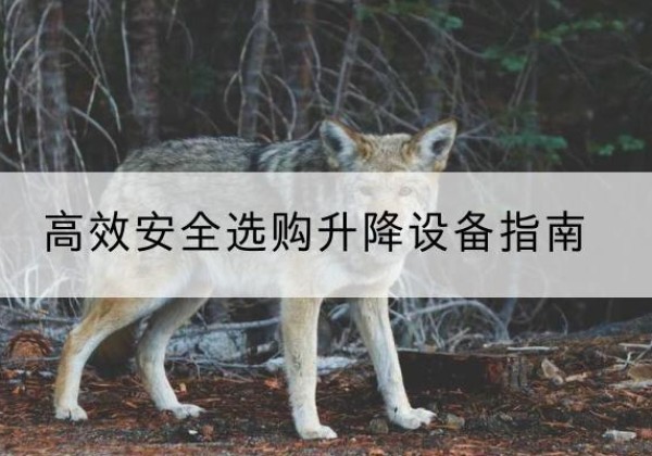 沈北新升降货梯厂家推荐-*安全选购升降设备指南