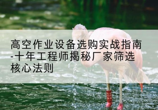 沈北新剪叉式升降机厂家-高空作业设备选购实战指南-十年工程师揭秘厂家筛选核心法则
